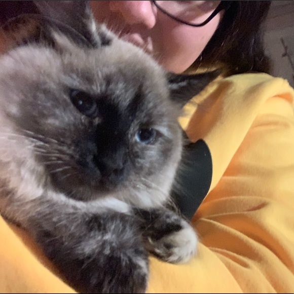 Meet your Posher, Stephany - Picture 1 of 1